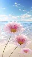 Three pink flowers on the beach with water droplets photo
