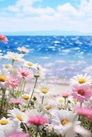 Daisies on the beach with the ocean in the background photo