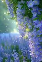 Blue flowers in a field with sunlight shining through photo