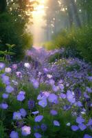 A field of purple flowers with the sun shining through photo