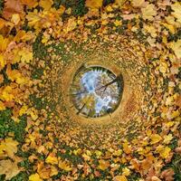 An image of a circular view of leaves on the ground photo