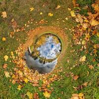 An image of a circular pond with leaves on it photo