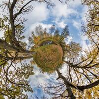 A small planet with trees and sky in the background photo