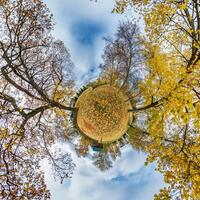 A small planet with trees and sky in the background photo
