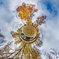 A small planet with trees and clouds photo