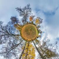 A small planet with trees and sky in the background photo