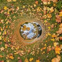 An image of a circular view of a tree and leaves photo