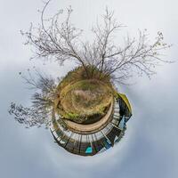 A small planet with a tree in the middle photo