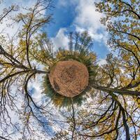A small planet with trees and sky in the background photo