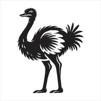 An ostrich is standing in front of a white background vector