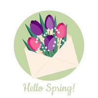 Greeting card template with tulips and gypsophila in an envelope. illustration vector