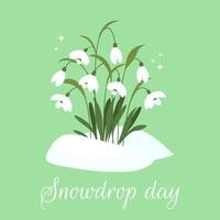 Snowdrop Day. Spring composition of snowdrops. Greeting card in flat style. illustration vector