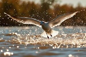A seagull flying over the lake on a clear sunny day, creating an atmosphere of freedom and lightness amidst nature photo