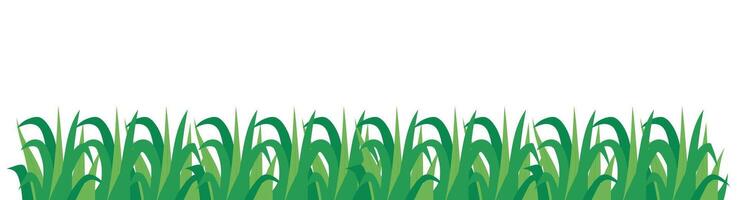 Grass Isolated Background vector