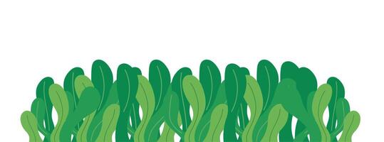 Grass Border Isolated Background vector