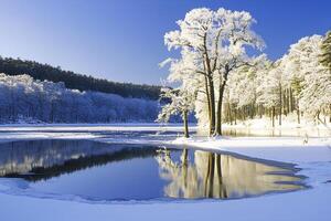 Frosted trees line the edge of a tranquil lake, their reflections visible in the still water. The surrounding landscape is covered in fresh snow under a clear blue sky. photo