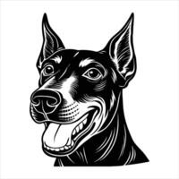 dobermann dog happy vector
