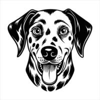 dalmatian happy dog vector
