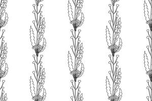Line art botanical abstract seamless plant pattern with wildflowers illustration. Black and white outline repeating floral background. Graphic design for Wallpaper Textile Cover Birthday Card Print vector