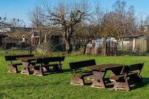 Picnic tables in a sunny park surrounded by trees and gardens photo