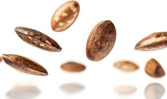 Dynamic photo of nuts on white background