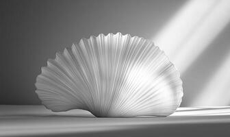 A white object with a curved shape, light from the window photo