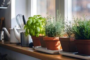 Indoor Herb Garden with Neatly Potted Basil, Thyme, and Rosemary on a Sunlit Kitchen Windowsill photo