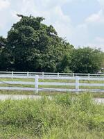 fence in the garden photo