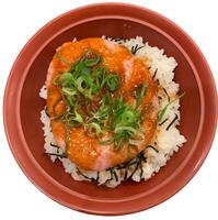 japanese food. chicken with rice, vegetables, vegetables and rice. photo