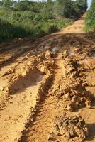 Pathway to progress - laid road leading to the plantations photo