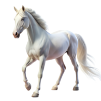 beautiful white horse is isolated on transparent background png