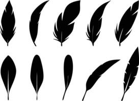 Soft and Dreamy Set of Birds Feathers for Decorative Projects vector