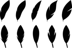 Handcrafted Set of Birds Feathers for Rustic and Organic Themes vector