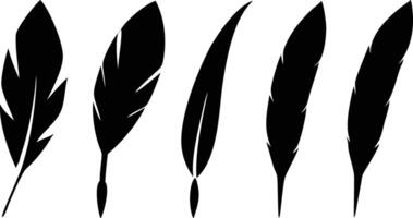 Exotic Set of Birds Feathers for Unique and Stylish Artwork vector