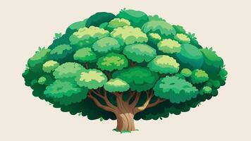 A tree with green leaves and a brown trunk on a white vector