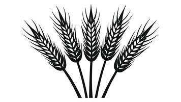 a black and white illustration of a bunch of wheat vector