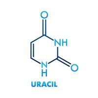 Skeletal formula of uracil, nucleobase pyrimidine derivative, infographic vector