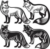 line art fox icon design image vector