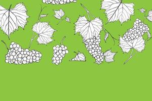 hand drawn grapes with leaves and branches. Outline fruits for graphic designs. Isolated graphic assets on green background. Ready to use and easy to edit. vector