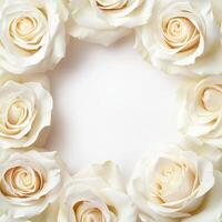Rose petal borders Valentine concept. White roses arranged in a circular frame on a plain background. photo