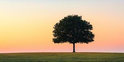 Burnout recovery stress concept. Lone tree silhouetted against a colorful sunset sky on a grassy field. photo