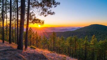 Burnout recovery mental concept. Vibrant sunset over a serene forest landscape with mountains in the distance. photo