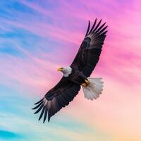 Diversity and Patriotism concept. Majestic eagle soaring against a colorful sky. photo