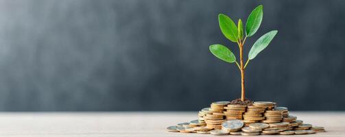 Inflation investment goals concept. Plant growing from a pile of coins, symbolizing financial growth and investment. photo