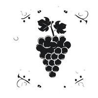 Grapes. Black grape with leaf illustration isolated on a white background. Black and white. vector