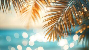 Tropical palm leaves on the beach with bokeh effect photo