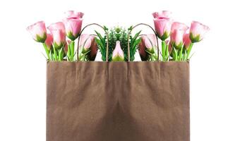 Brown paper bag holding bouquets of pink roses on a white background photo