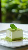 Delicate matcha dessert served on a white plate surrounded by natural greenery photo