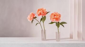Bright peonies in glass vases on white marble countertop with soft natural light photo