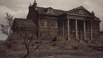 Abandoned mansion with a crow perched on a branch in a desolate setting video